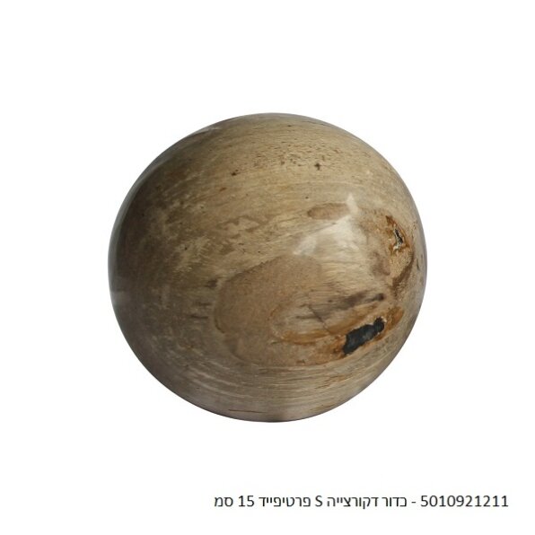 כדור דקורצייה פרטיפייד עץ מאובן (מגוון גדלים)