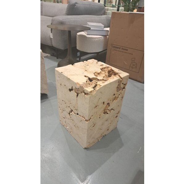 שולחן צד אבן גבינה פרטיפייד עץ מאובן