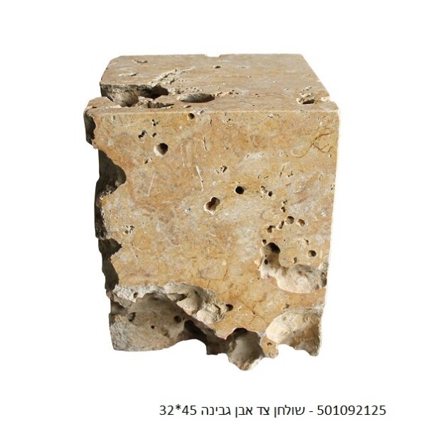 שולחן צד אבן גבינה פרטיפייד עץ מאובן